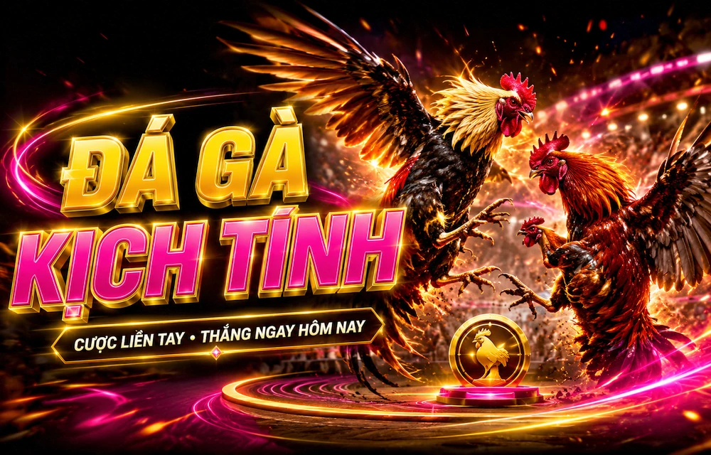 KINH NGHIỆM B88 — hình minh họa từ kho hình ảnh riêng